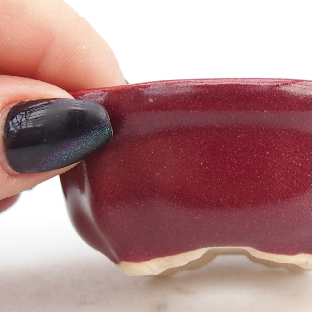 Ciotola per mini bonsai 6,5 x 6,5 x 3 cm, bordeaux