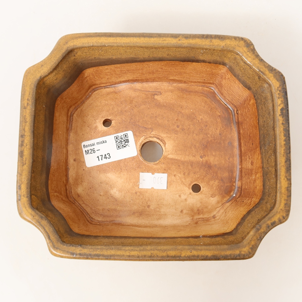 Ciotola per bonsai in ceramica 18 x 15 x 6 cm, marrone