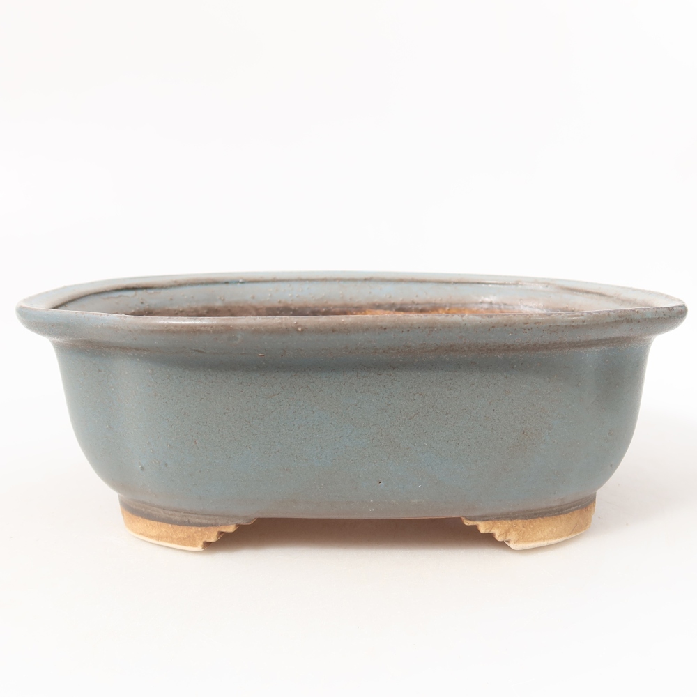 Vaso da bonsai in ceramica 20,5 x 16,5 x 7 cm, colore blu