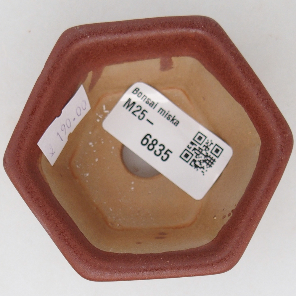 Ciotola per bonsai in ceramica 7,5 x 7 x 4 cm, marrone
