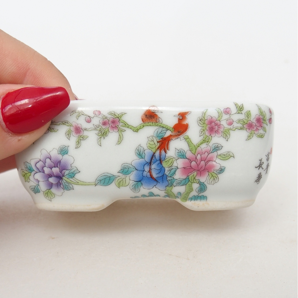 Mini bonsai 8 x 6 x 3 cm, bianco