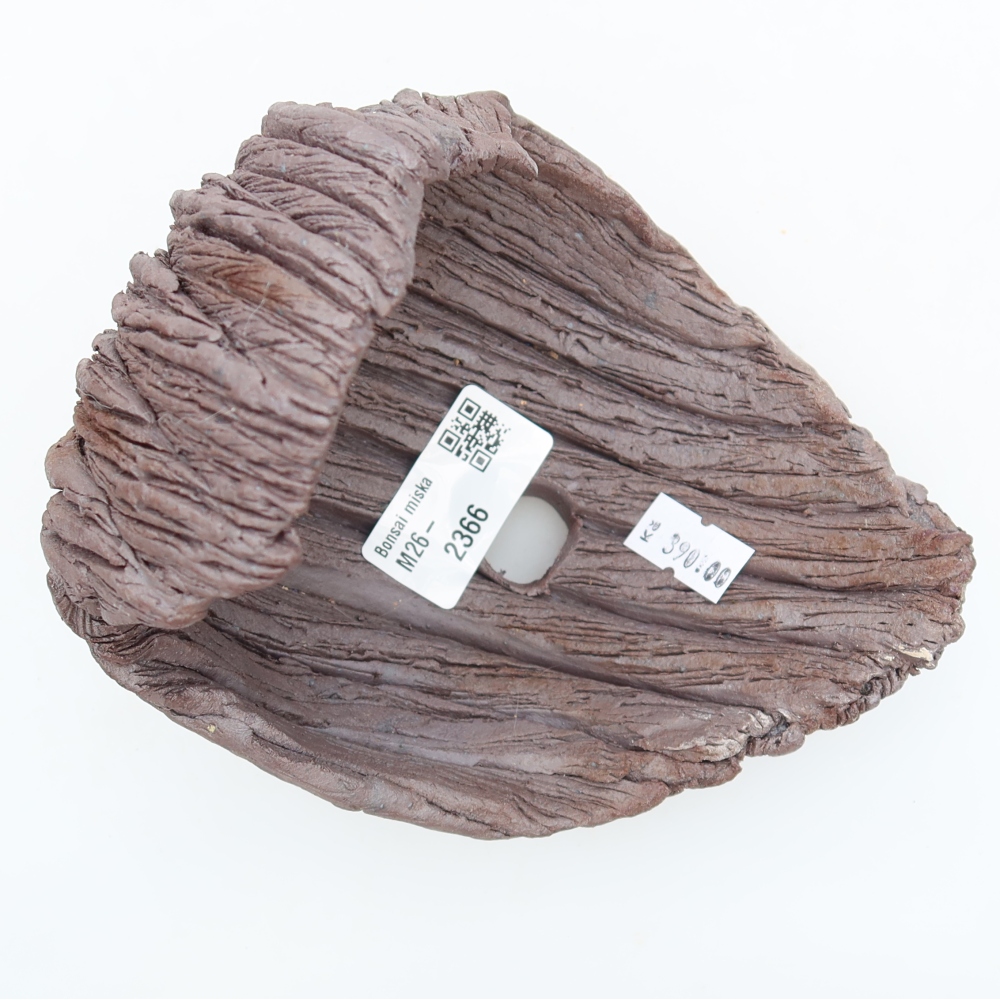 Guscio in ceramica  13,5 x 12,5 x 14 cm, colore marrone