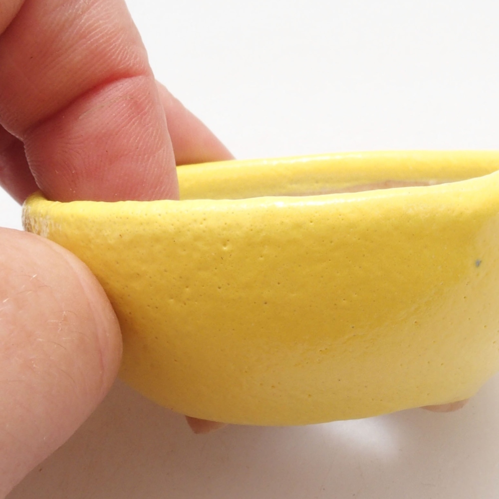 Ciotola per bonsai in ceramica 6 x 6 x 2,5 cm, giallo