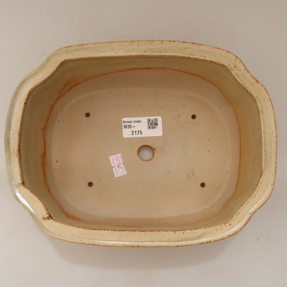 Ciotola bonsai in ceramica 22,5 x 17,5 x 7,5 cm, colore beige