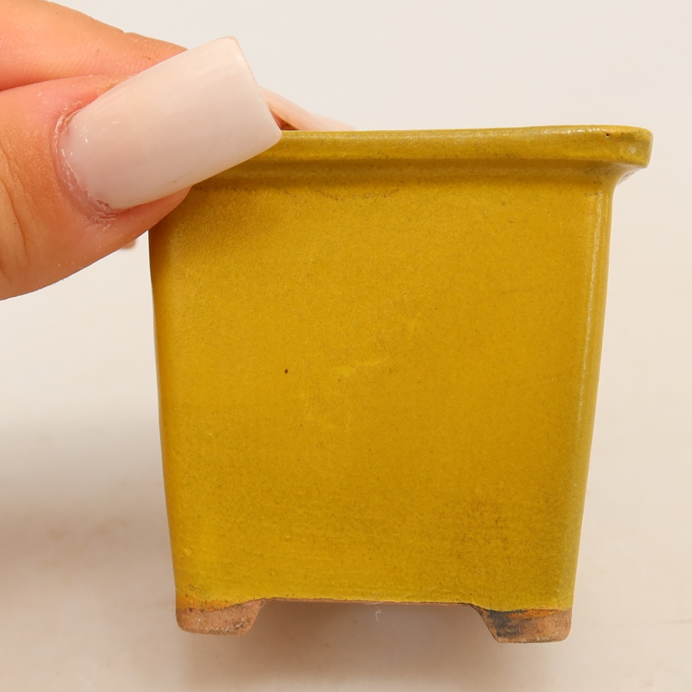 Vaso da bonsai in ceramica 6 x 6 x 5,5 cm, colore giallo
