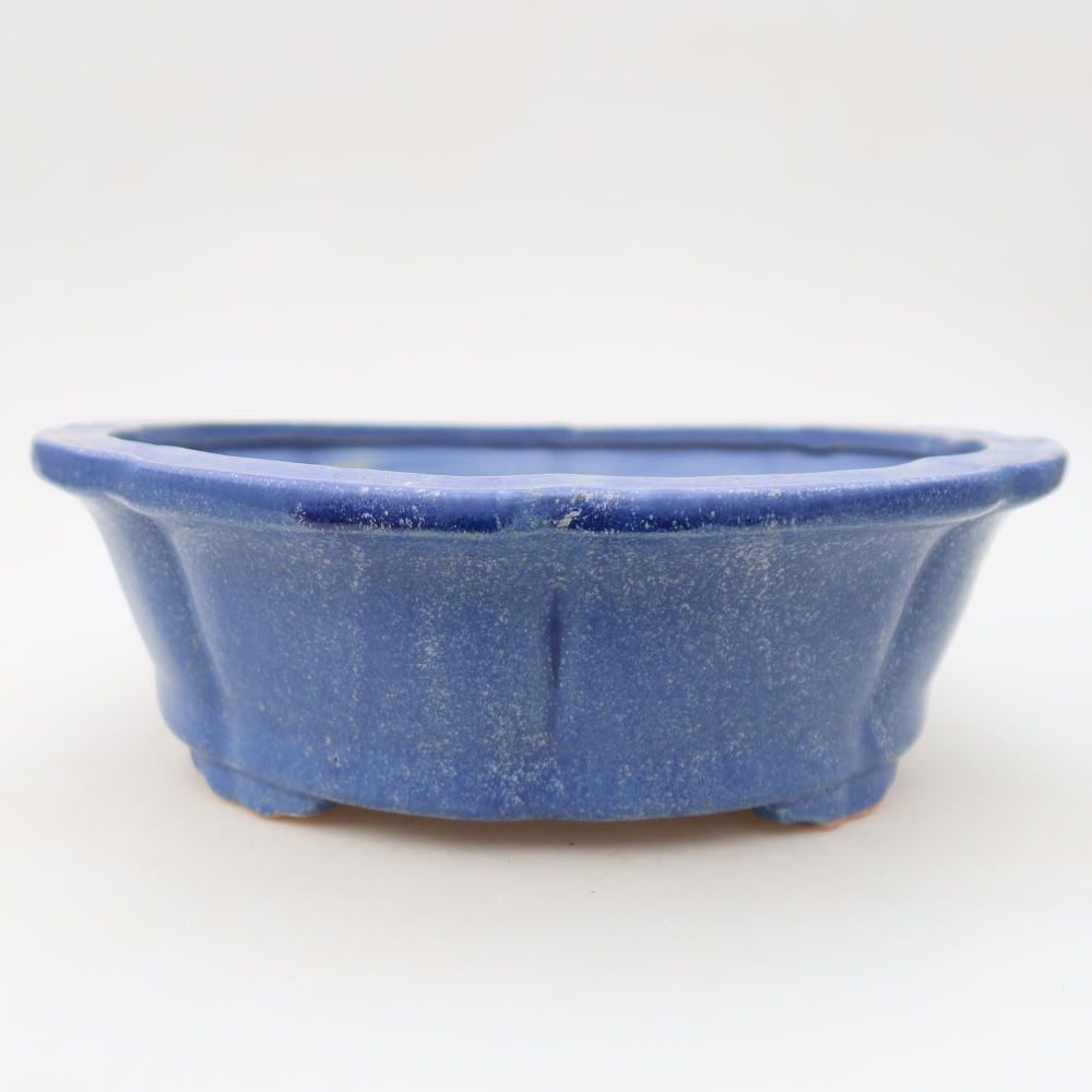 Ciotola bonsai in ceramica 26,5 x 26,5 x 8,5 cm, colore blu