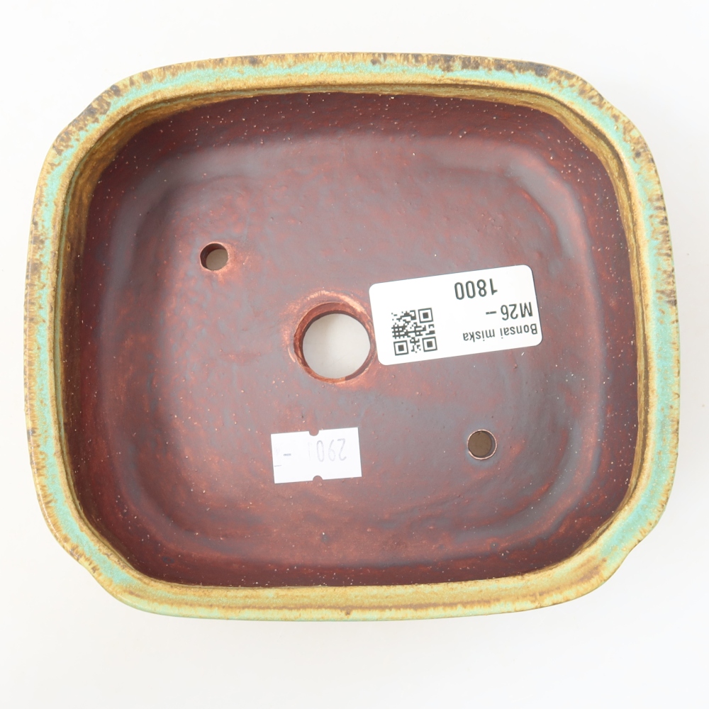 Vaso da bonsai in ceramica 14 x 12 x 4 cm, colore verde