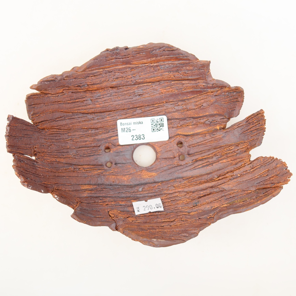 Conchiglia in ceramica  19 x 14 x 7 cm, colore marrone