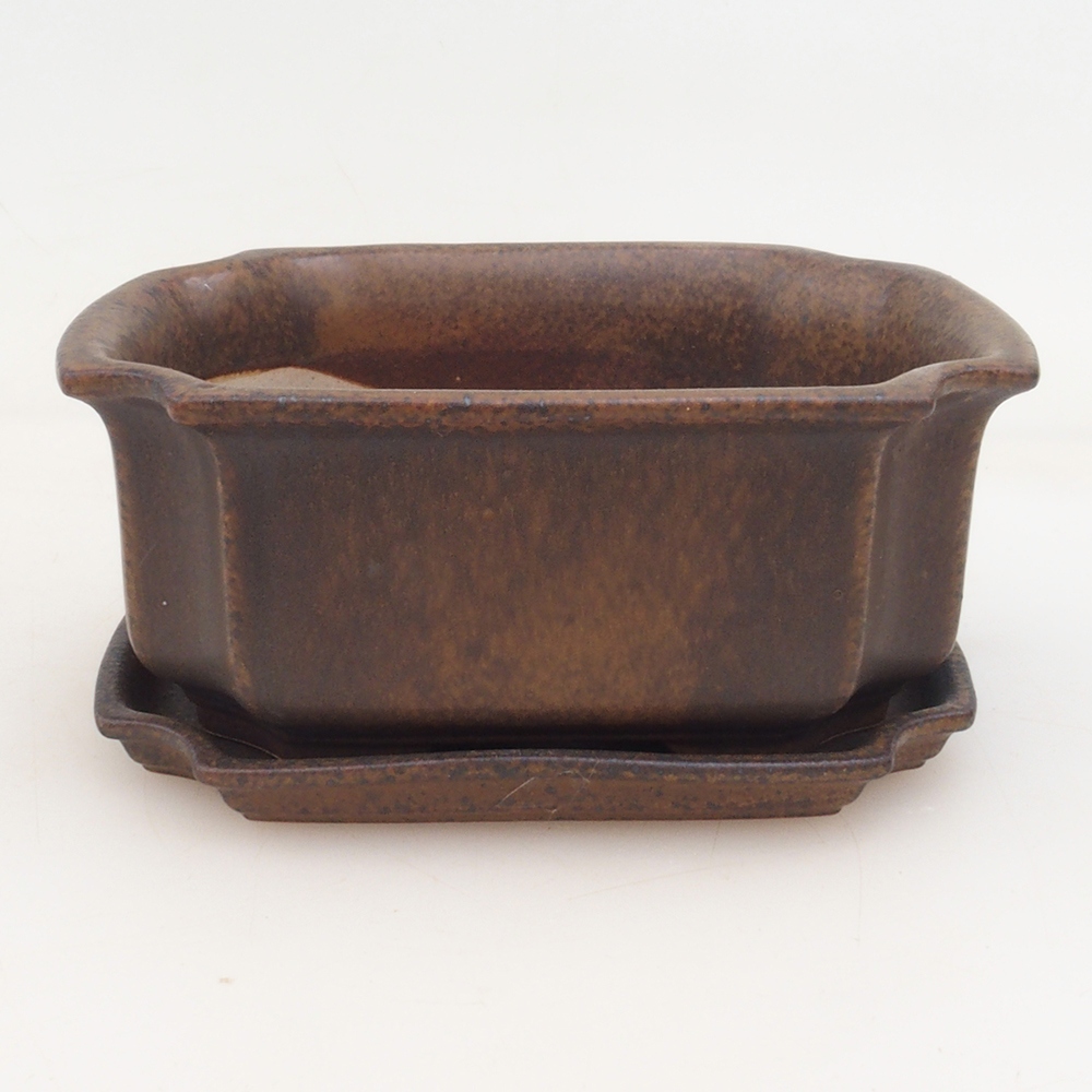 Ciotola bonsai + piattino H01 - marrone
