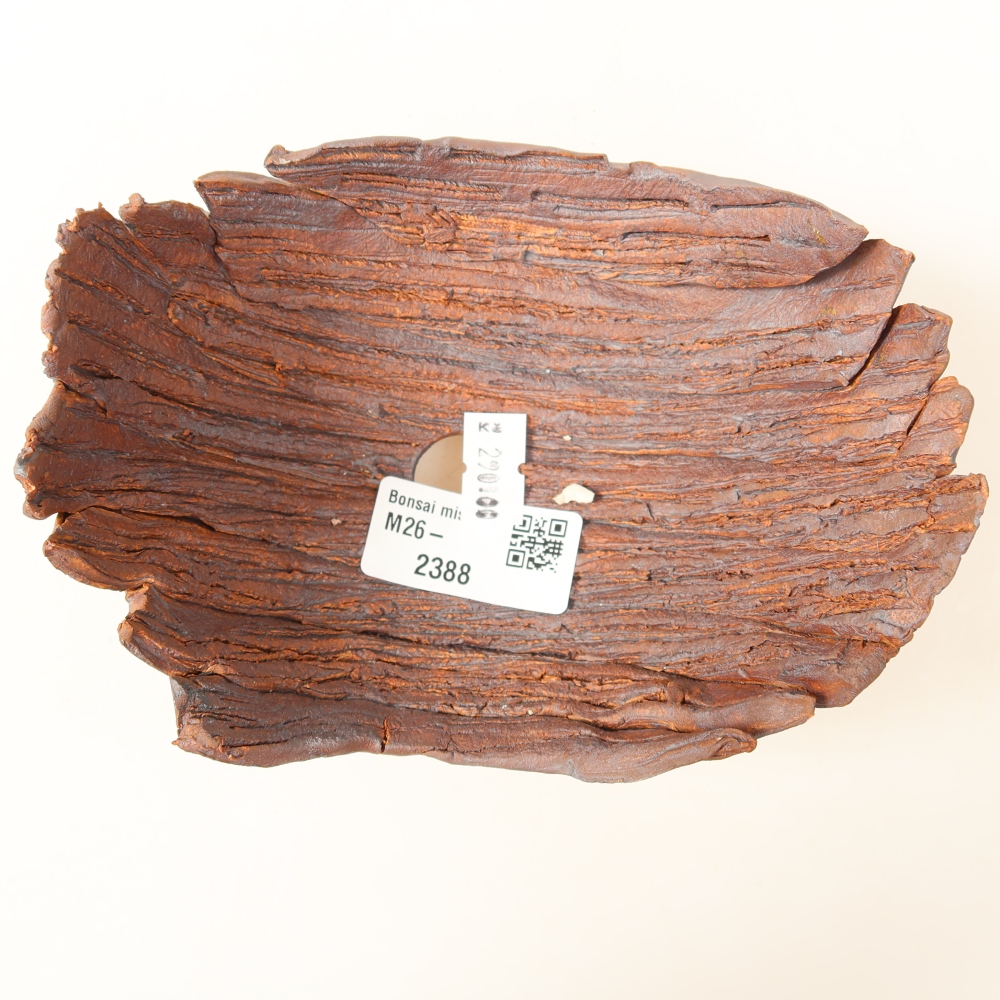 Conchiglia in ceramica  15 x 11 x 7,5 cm, colore marrone