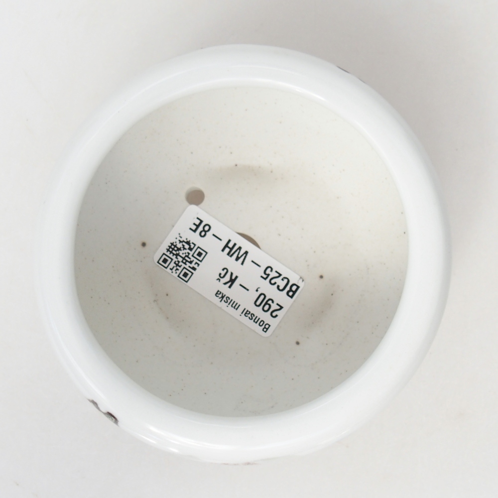 Ciotola per bonsai in ceramica 10 x 10 x 5 cm, colore bianco