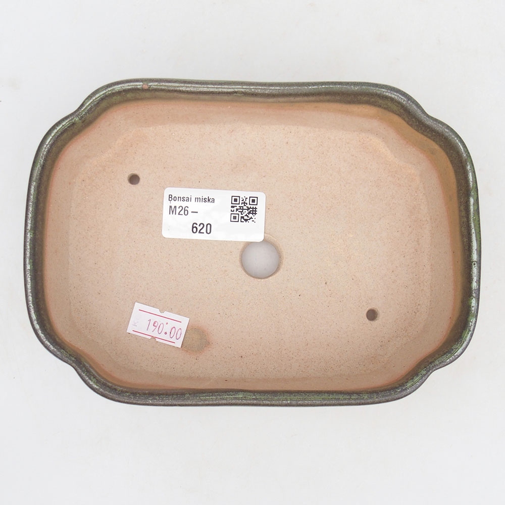Ciotola bonsai in ceramica 16 x 11,5 x 4,5 cm, verde