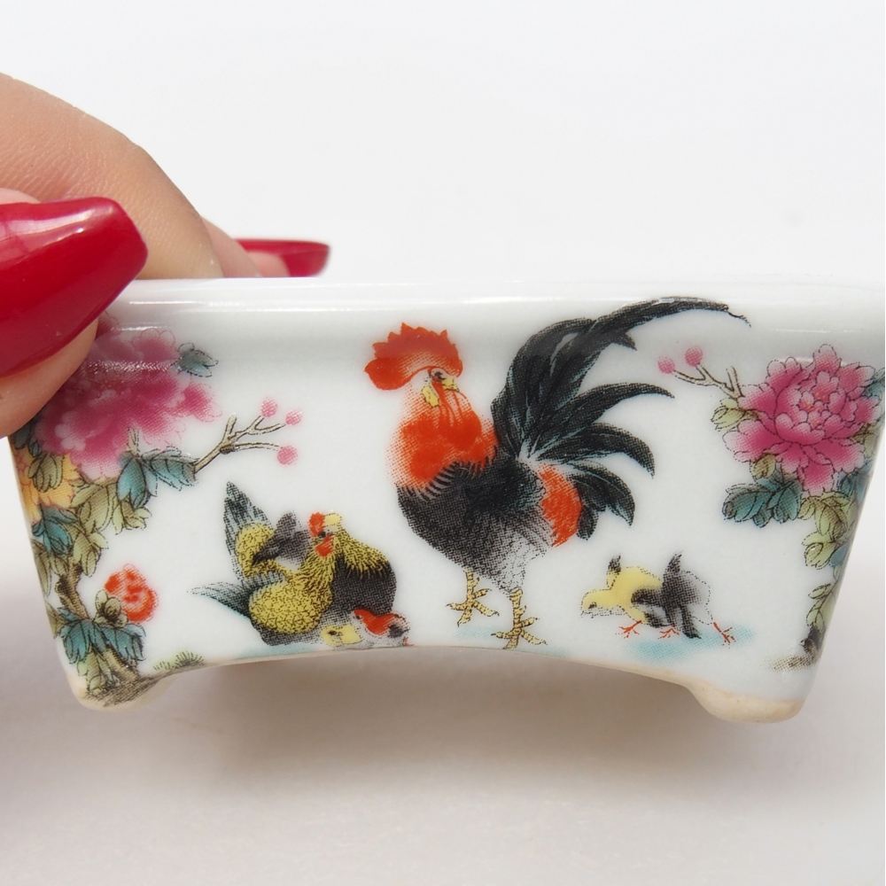 Mini bonsai 8 x 6,5 x 3,5 cm, bianco