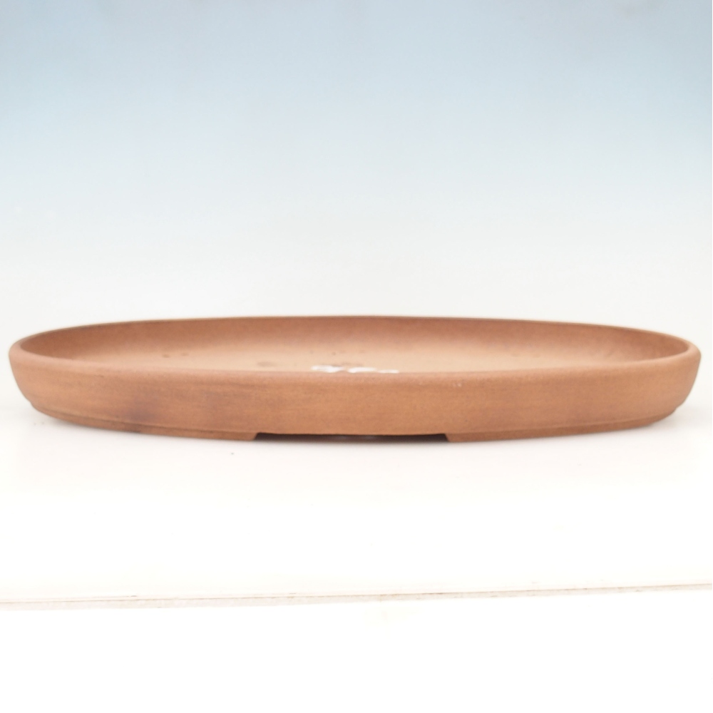 Ciotola per bonsai 50 x 31 x 4,5 cm , colore marrone - SOLO RITIRO PERSONALE O TRASPORTO IN PALLET