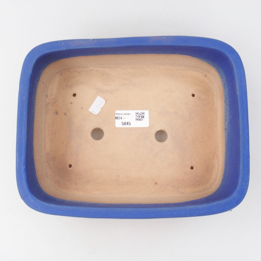 Ciotola bonsai in ceramica 24 x 19 x 7,5 cm, colore blu