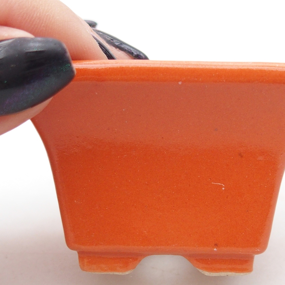 Ciotola per mini bonsai 5,5 x 5,5 x 3 cm, arancione