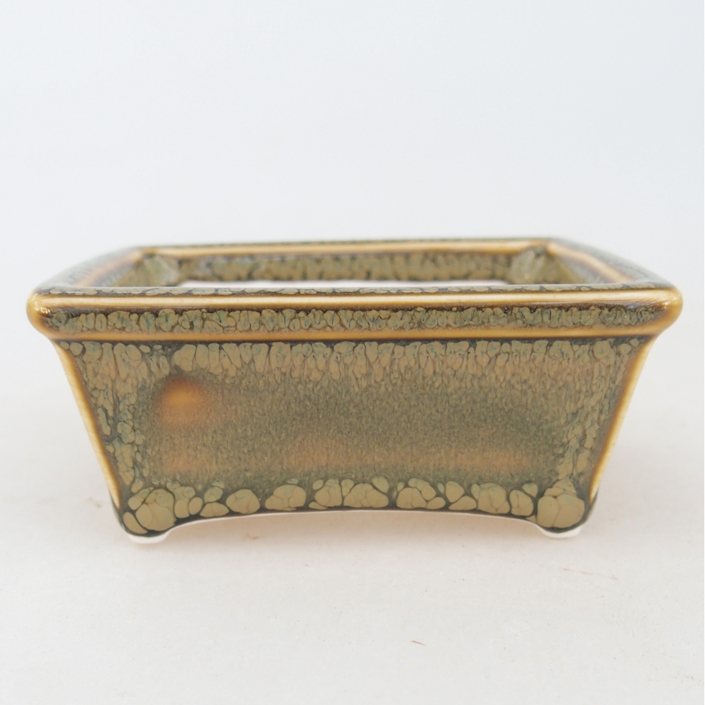 Mini bonsai 7,5 x 6 x 3 cm, verde