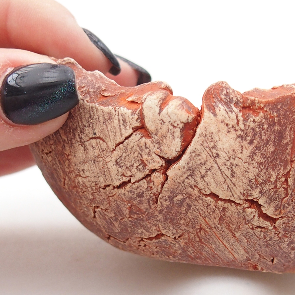 Conchiglia in ceramica 9,5 x 9 x 4 cm , colore arancione