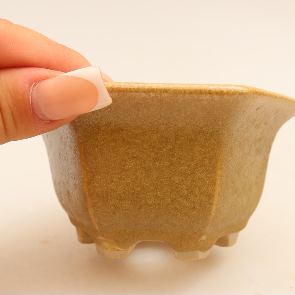 Vaso da bonsai in ceramica 10,5 x 9,5 x 5,5 cm, colore beige