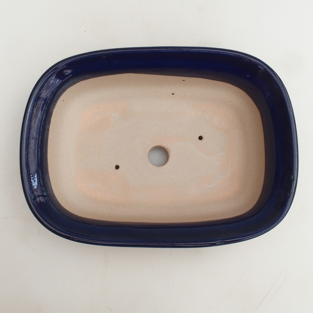 Ciotola bonsai H25 - 23 x 17 x 5,5 cm - blu