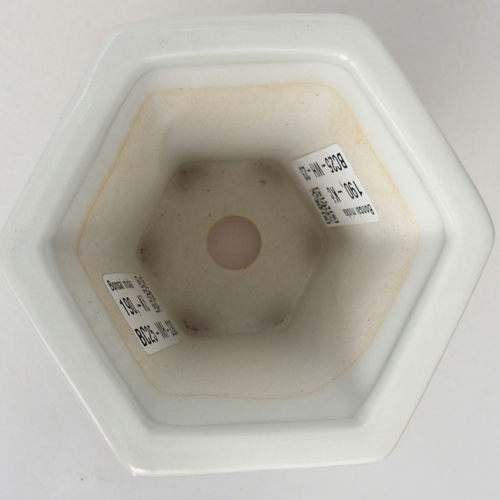 Ciotola per bonsai in ceramica 10 x 9 x 9 cm, colore bianco