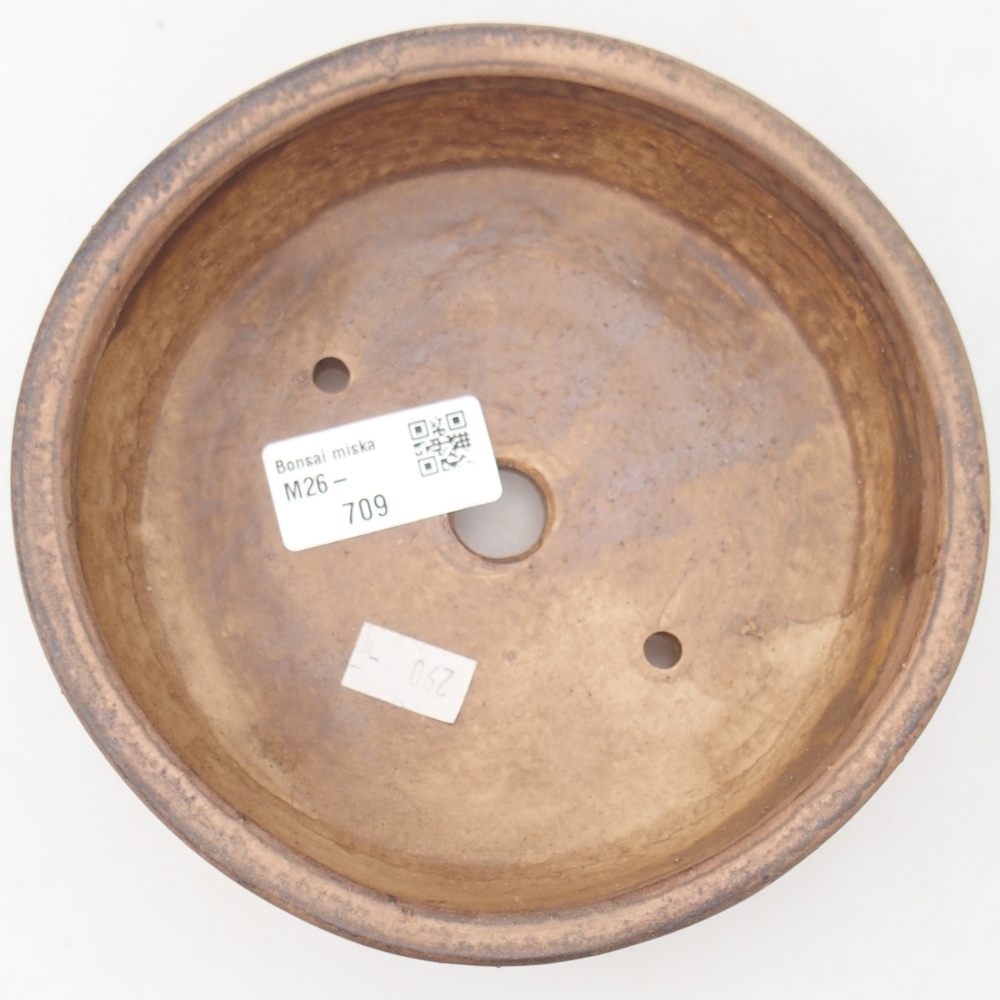 Ciotola per bonsai in ceramica 15,5 x 15,5 x 5 cm, rosa