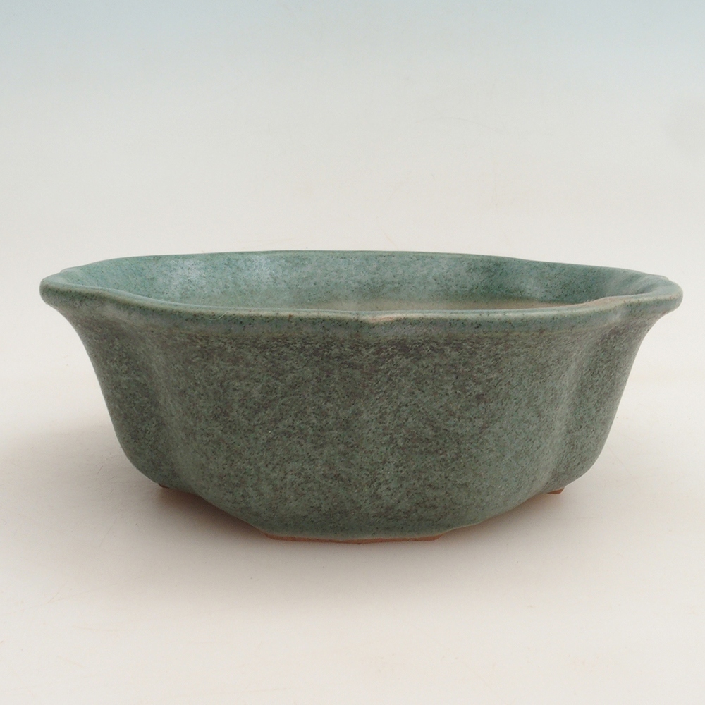 Ciotola per bonsai H06 - 14,5 x 14,5 x 5 cm - verde