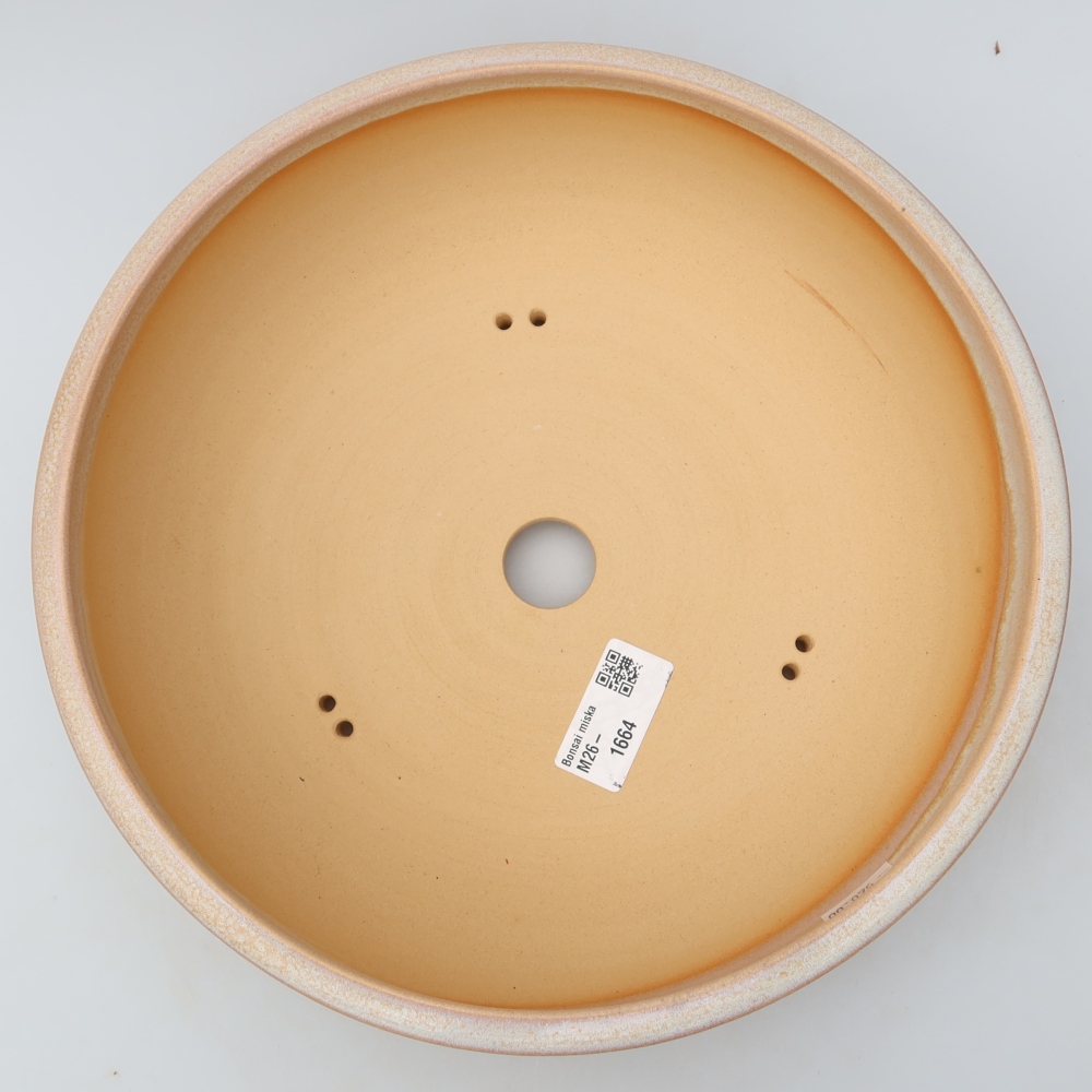 Vaso per bonsai in ceramica 25,5 x 25,5 x 7,5 cm, colore beige