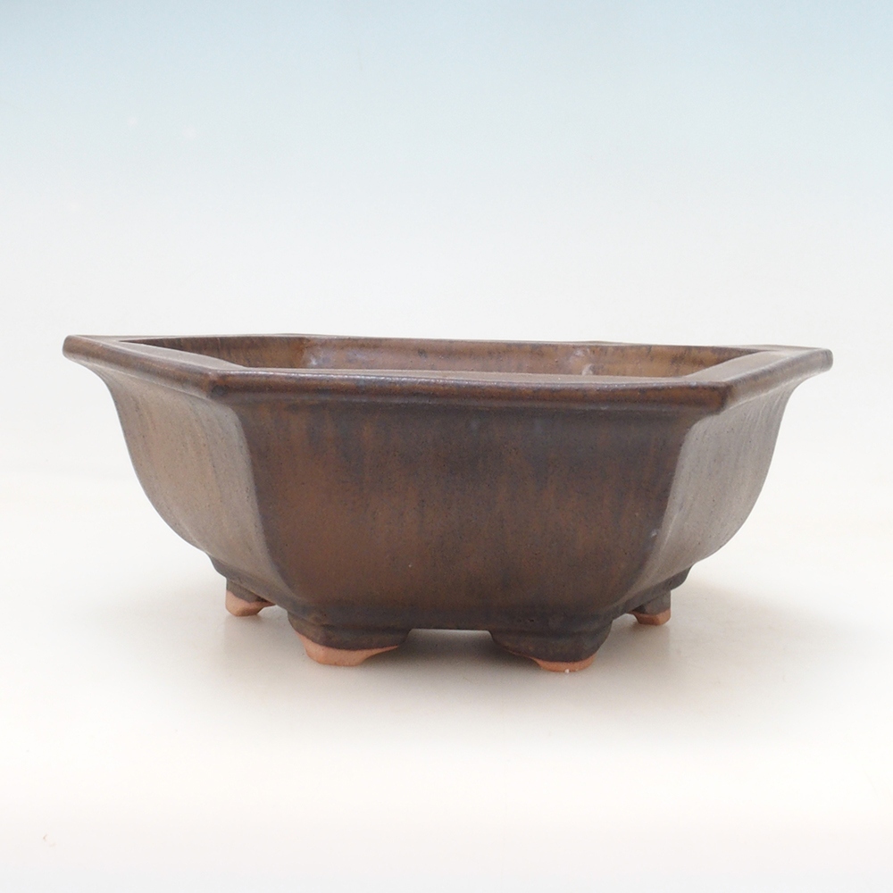 Ciotola bonsai + piattino H53 - 19 x 21,5 x 7 cm - marrone