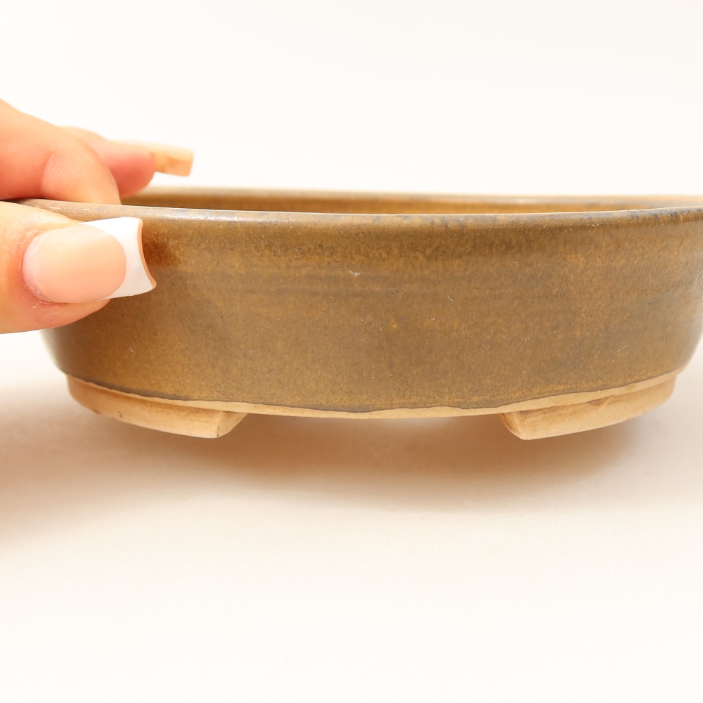 Ciotola per bonsai in ceramica 15 x 14 x 4 cm, marrone