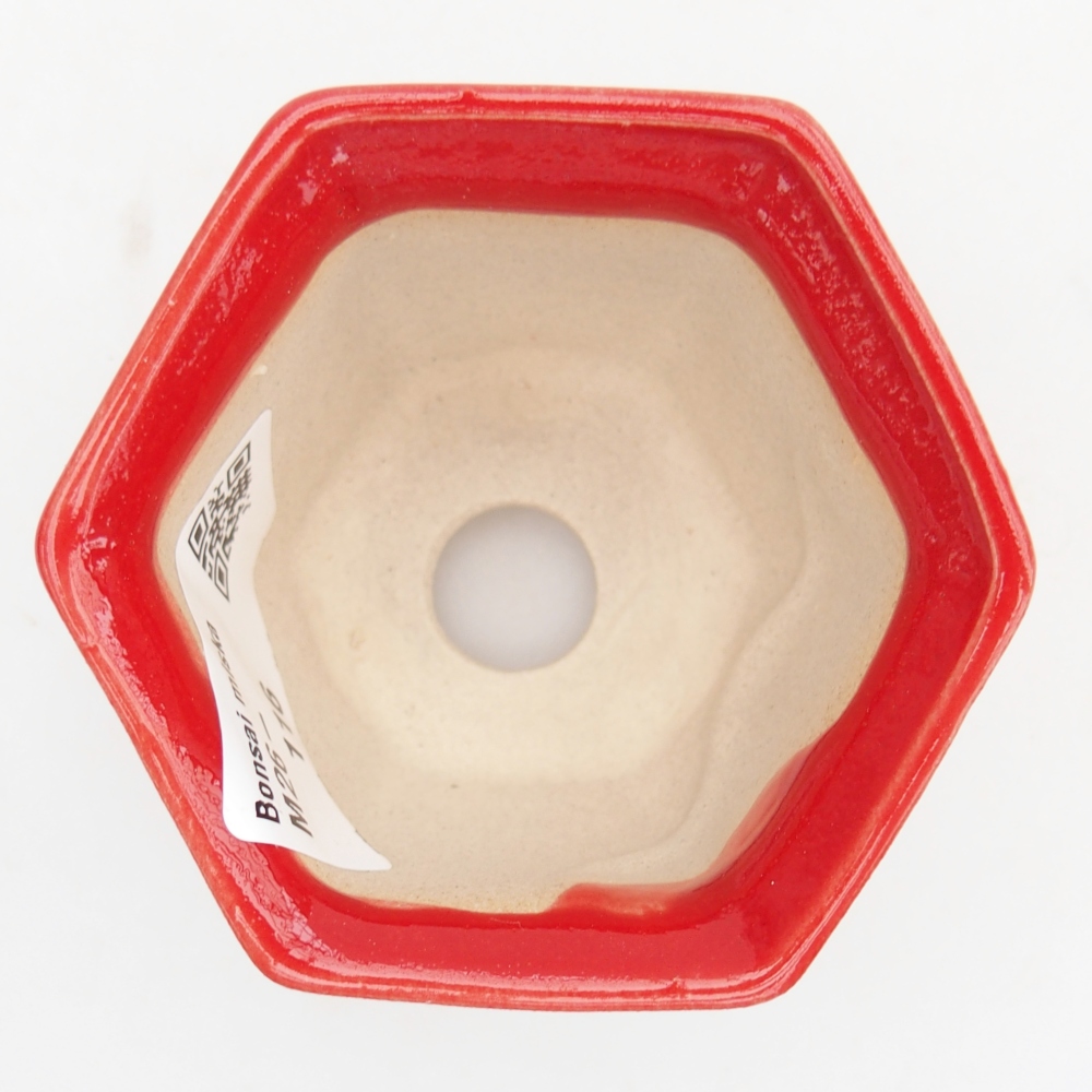 Mini bonsai 7 x 6,5 x 5 cm, colore rosso