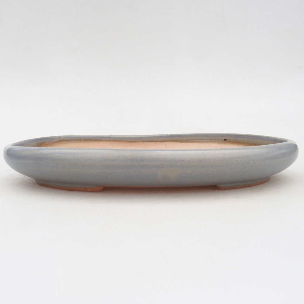 Ciotola bonsai in ceramica 22 x 17 x 3 cm, colore blu