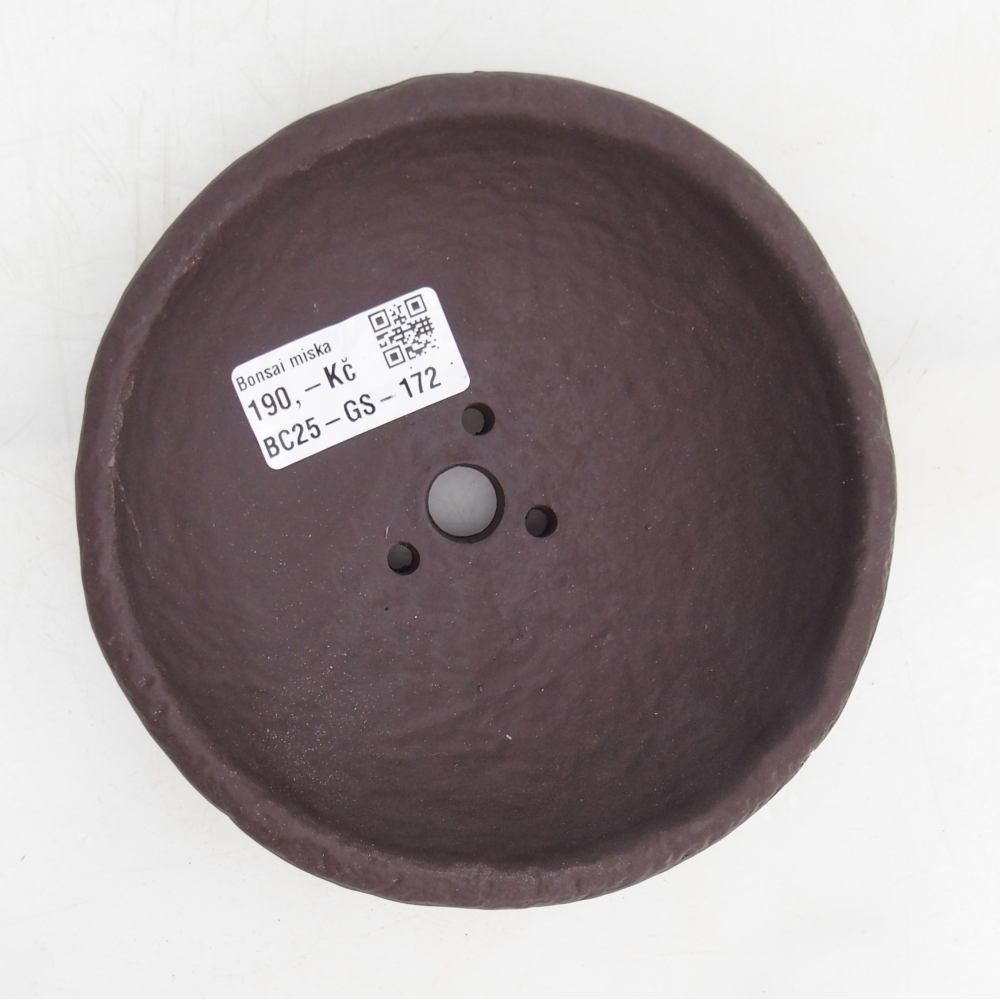 Conchiglia in ceramica 14 x 14 x 4 cm , colore marrone