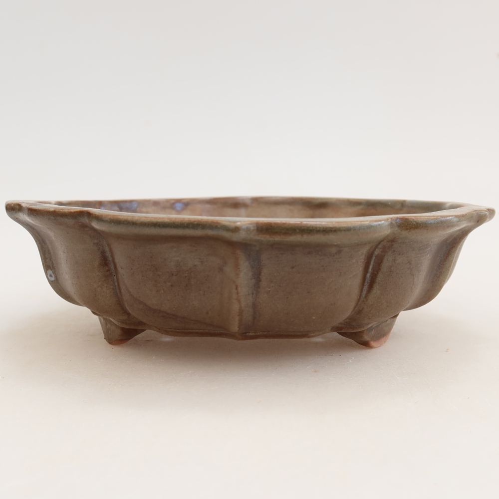 Ciotola per bonsai in ceramica 18,5 x 18,5 x 5 cm, marrone