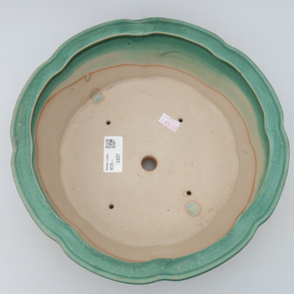 Ciotola per bonsai in ceramica 26,5 x 26,5 x 8,5 cm, verde