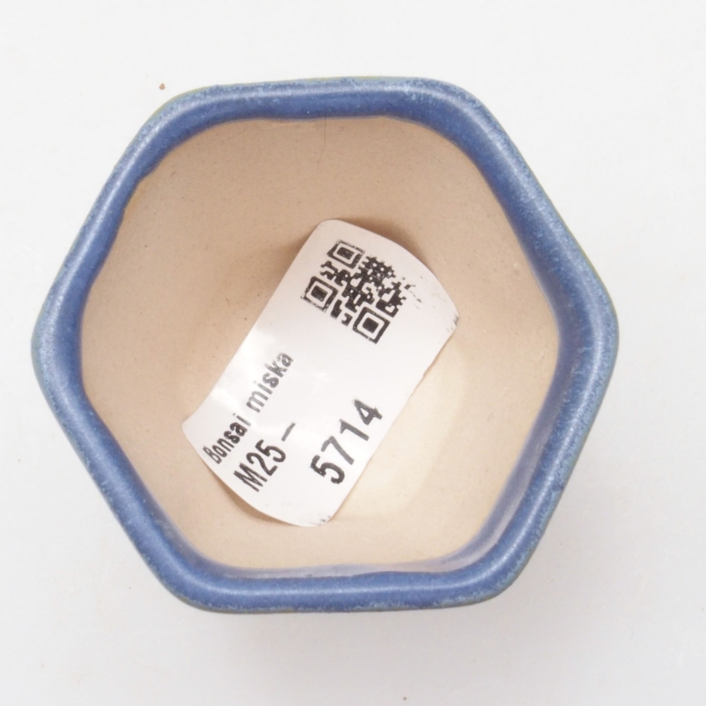 Mini bonsai 5 x 5 x 5 cm, colore blu