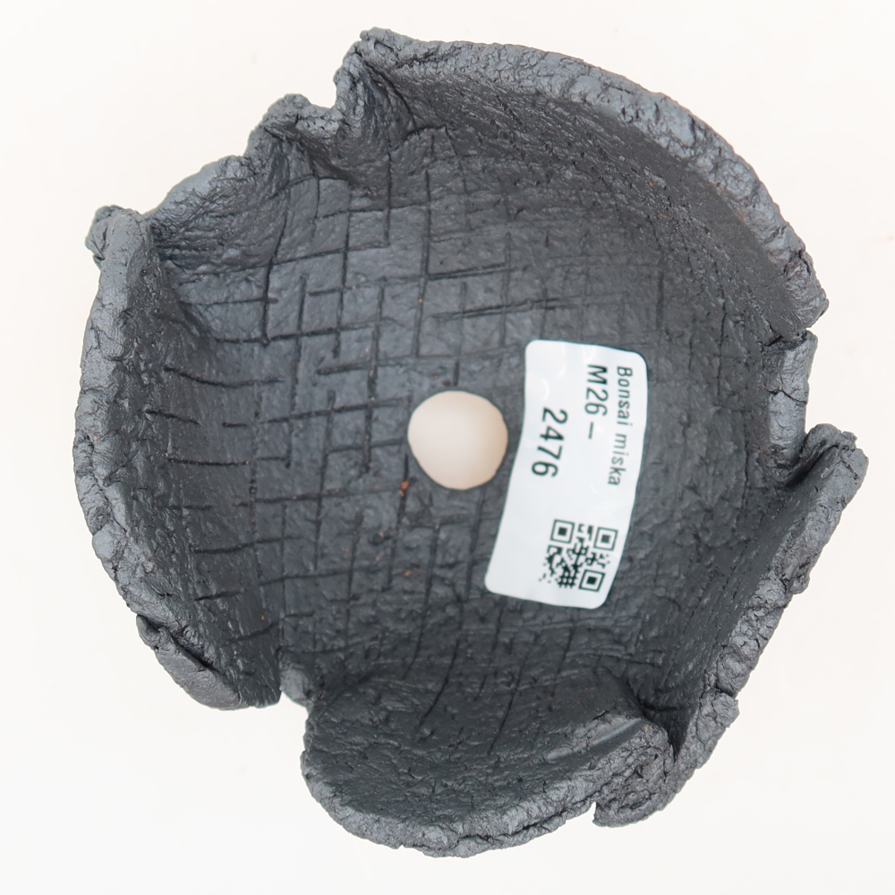Guscio in ceramica  10,5 x 9 x 8,5 cm, colore metallizzato