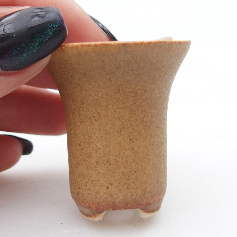 Mini bonsai 3 x 3 x 3,5 cm, marrone