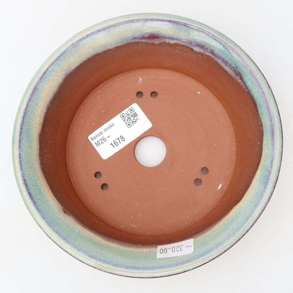 Vaso da bonsai in ceramica 16 x 16 x 4,5 cm, colore verde