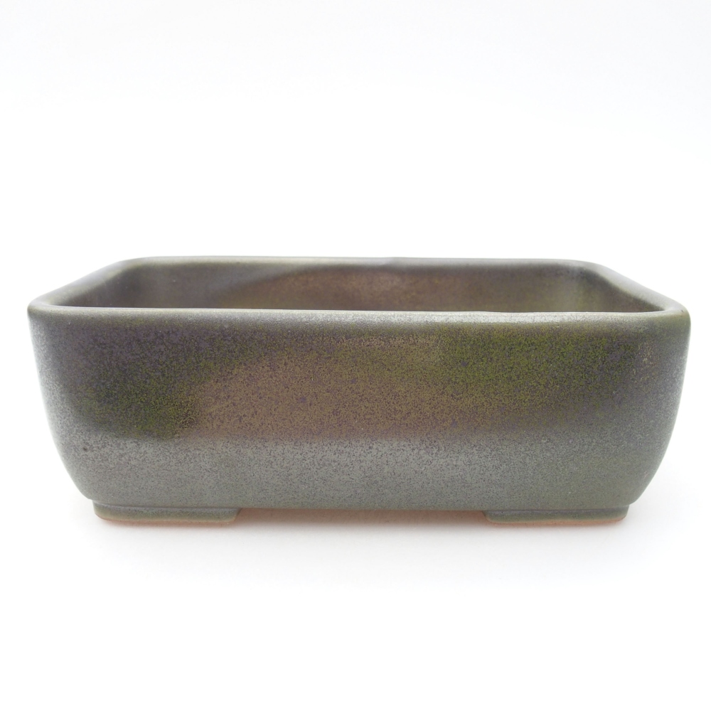 Ciotola bonsai in ceramica 16 x 11 x 5,5 cm, verde