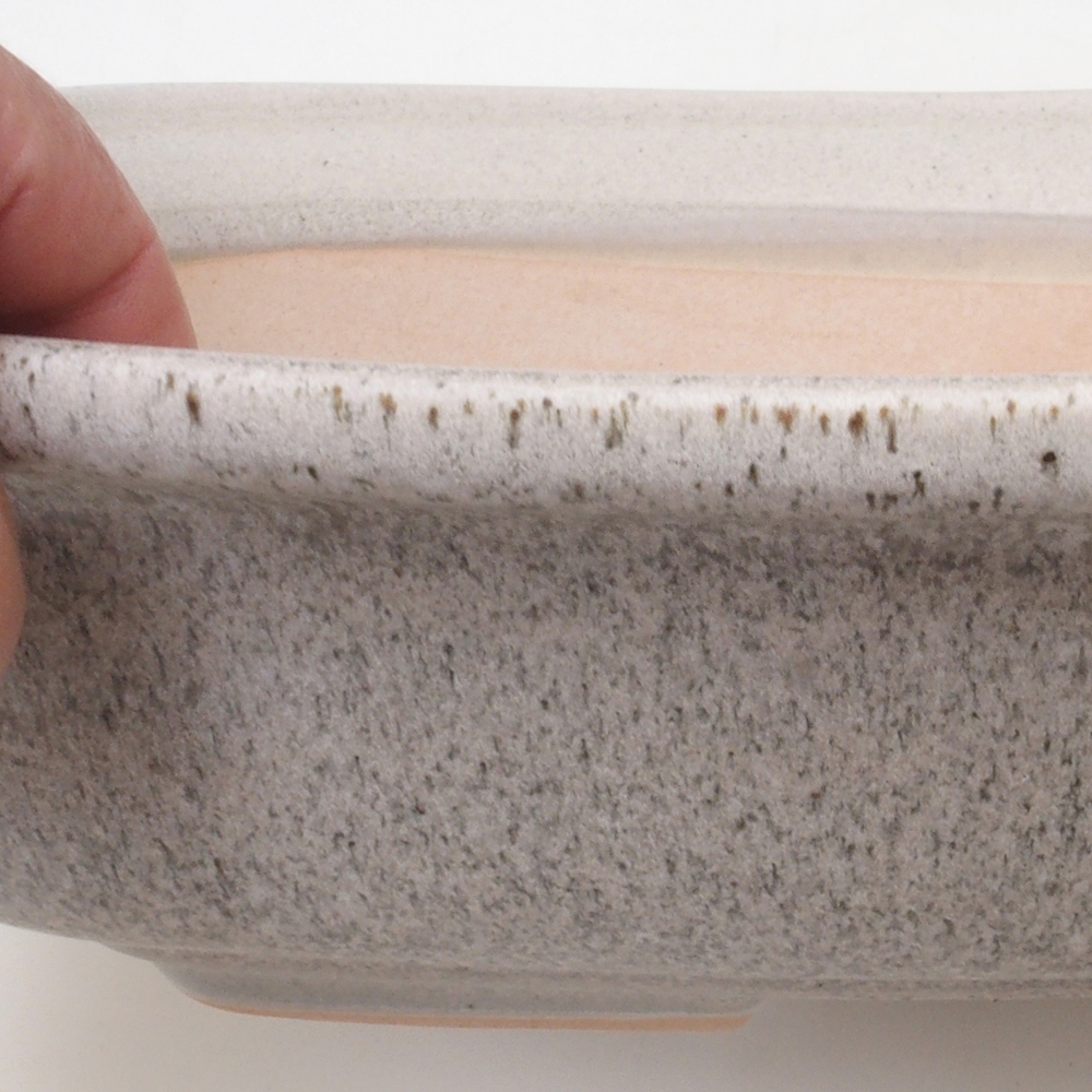 Ciotola per bonsai H10 - 37 x 28 x 9 cm - beige