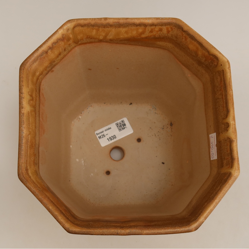 Vaso da bonsai in ceramica 17,5 x 17,5 x 15,5 cm, colore beige