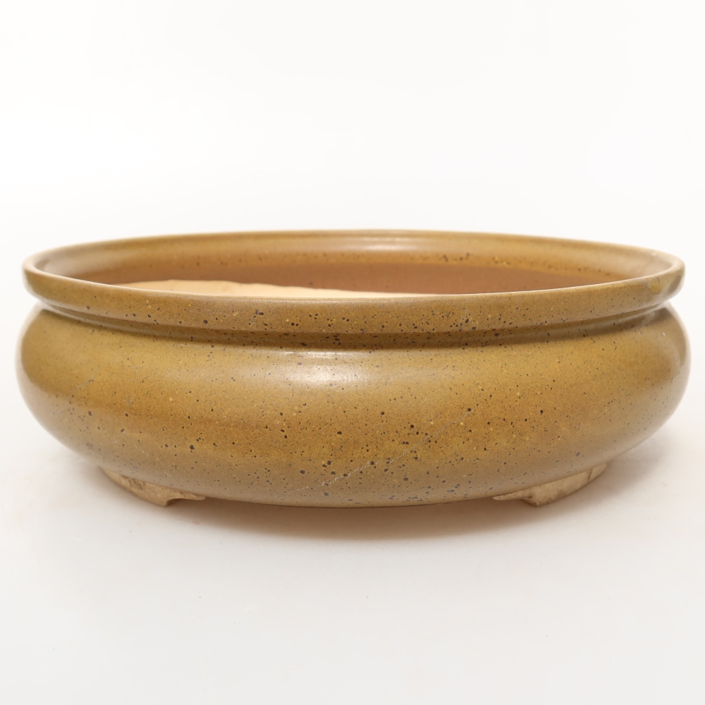 Conchiglia in ceramica  24 x 24 x 7,5 cm, colore marrone
