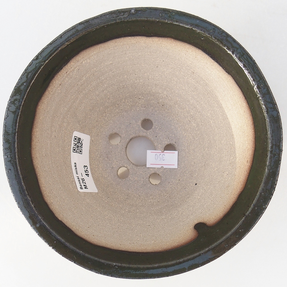 Ciotola per bonsai in ceramica 15 x 15 x 9 cm, verde