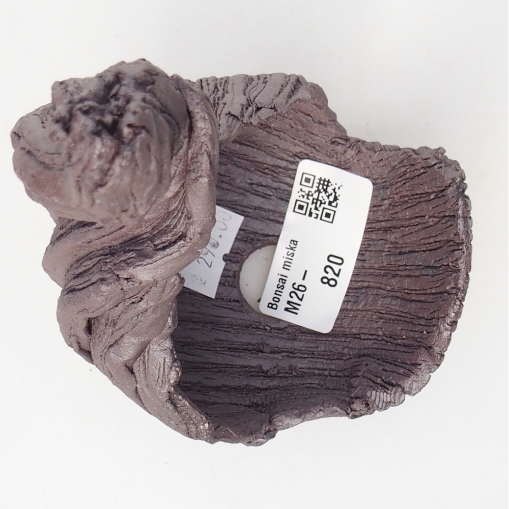 Conchiglia in ceramica 8,5 x 8 x 14,5 cm , colore metallizzato