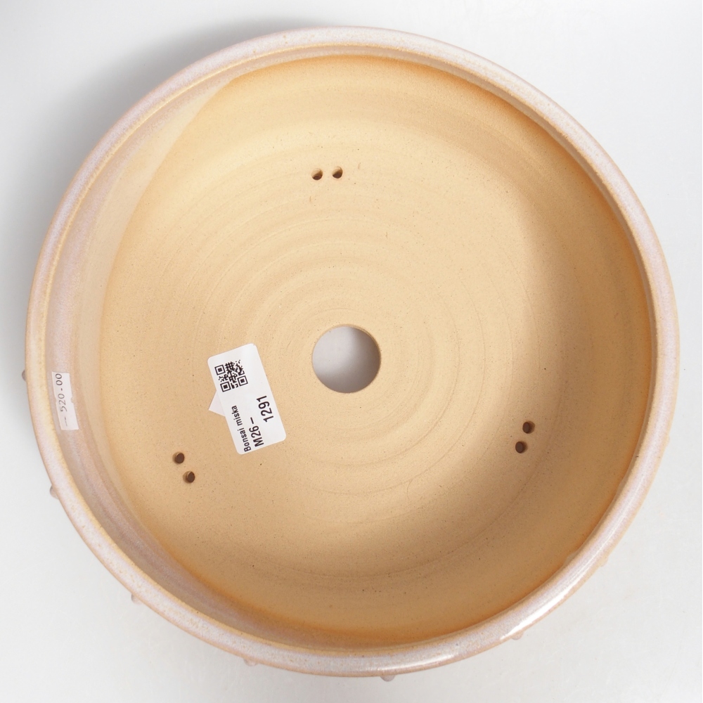 Ciotola bonsai in ceramica 22 x 22 x 6,5 cm, colore beige