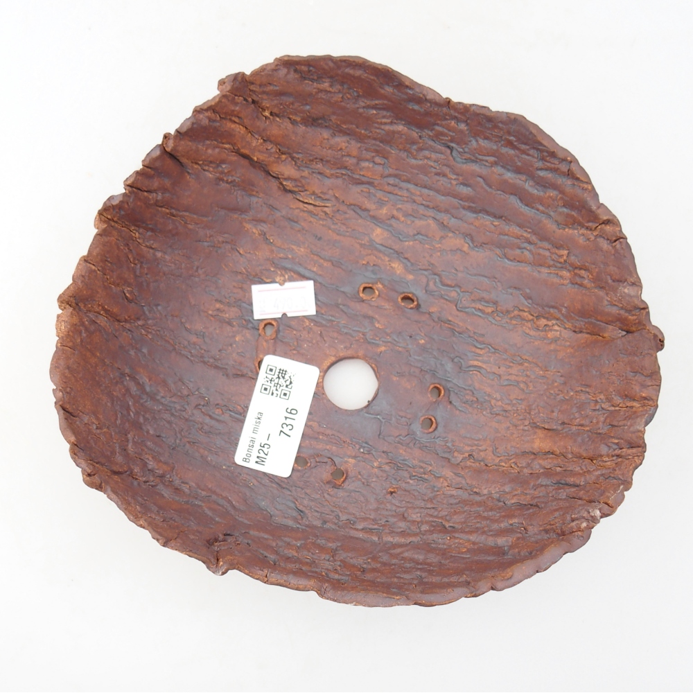 Conchiglia in ceramica 18,5 x 17,5 x 6 cm , colore marrone