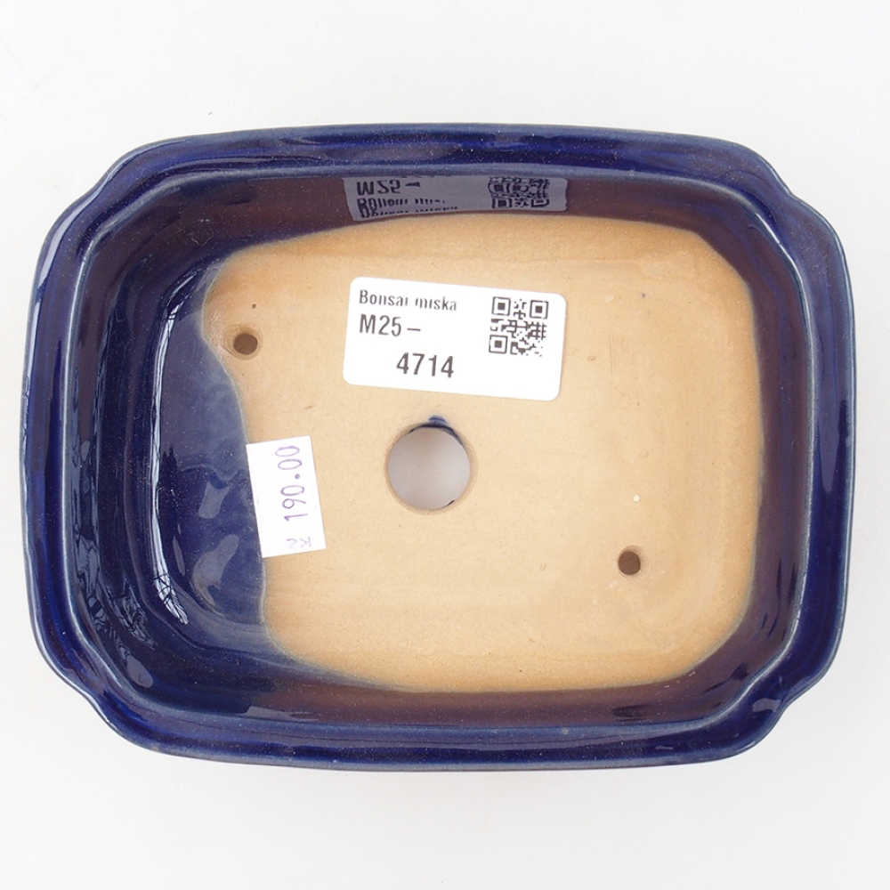 Ciotola bonsai in ceramica 14 x 11 x 4 cm, colore blu