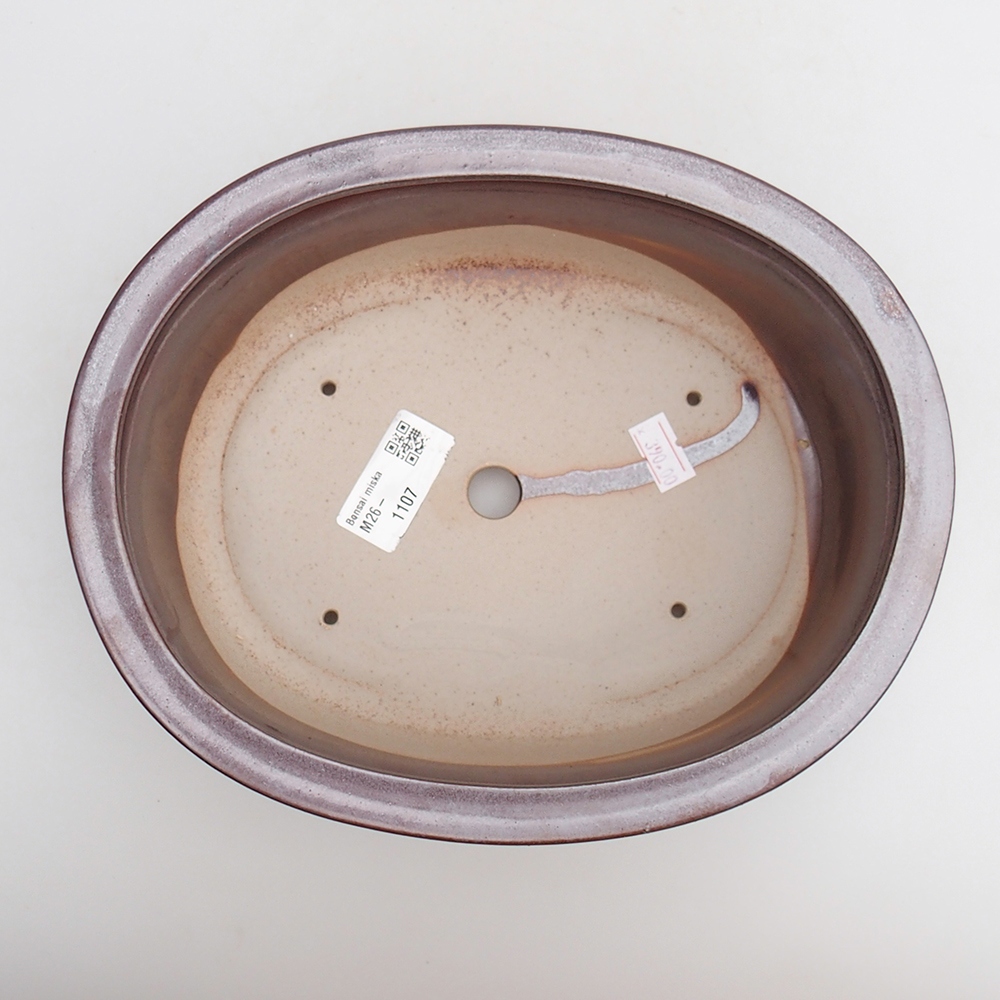 Ciotola bonsai in ceramica 23 x 19 x 7 cm, bordeaux