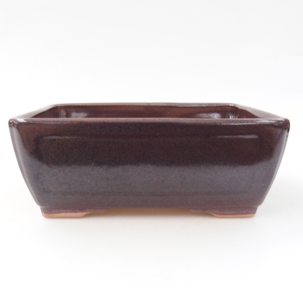 Ciotola bonsai in ceramica 22 x 17 x 5 cm, verde